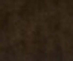 barva emailová bronz Agama 43me