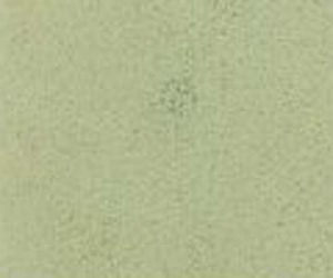 barva emailová světlá šedá Agama j14m