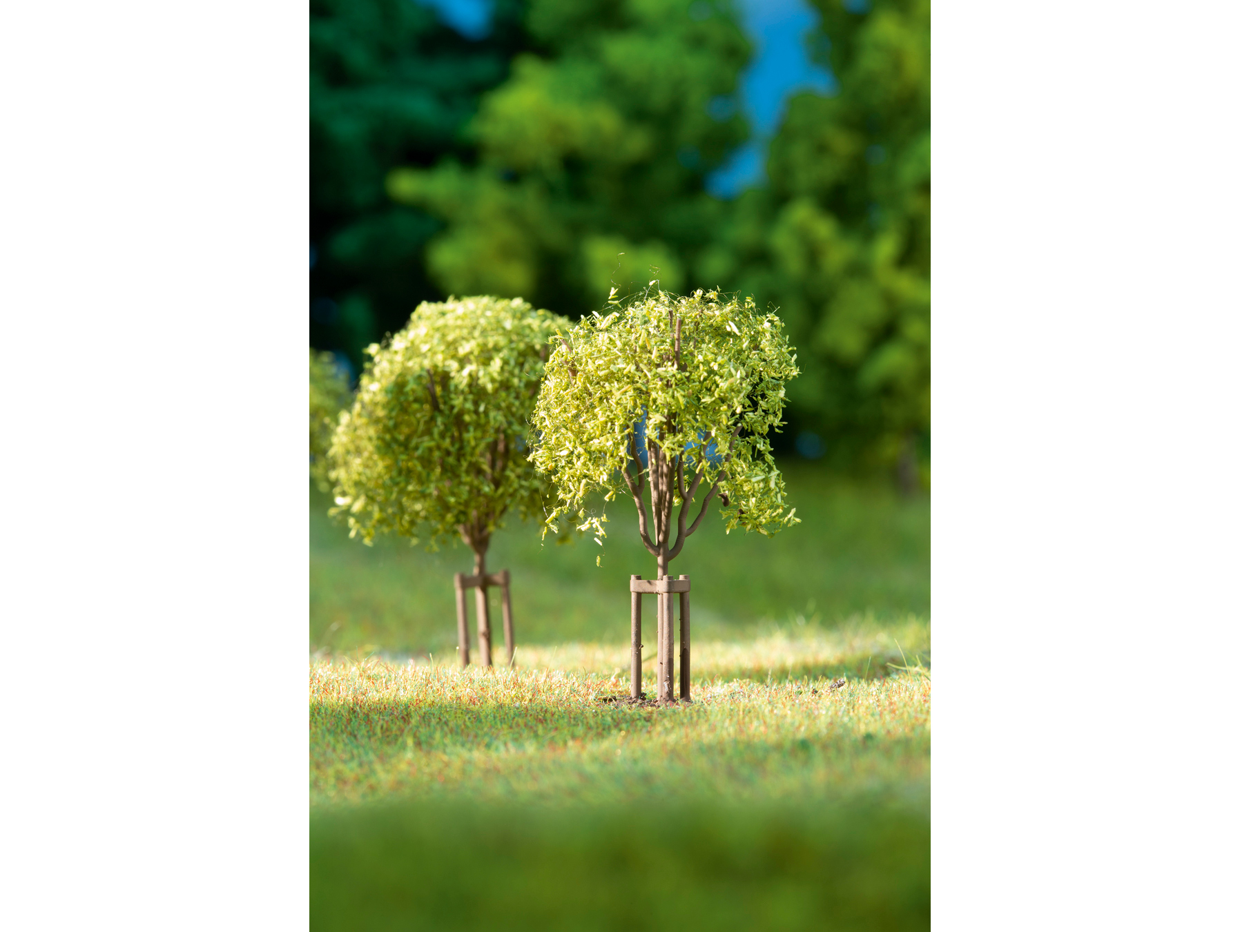 mladé stromky Auhagen 70950