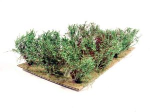 keře vysoké zelené Bezucha Roman 1102