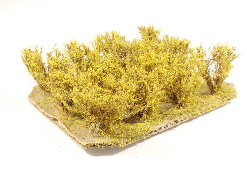 keře vysoké žluté Bezucha Roman 1105