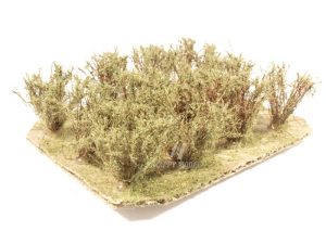 keře nízké oliva Bezucha Roman 1203