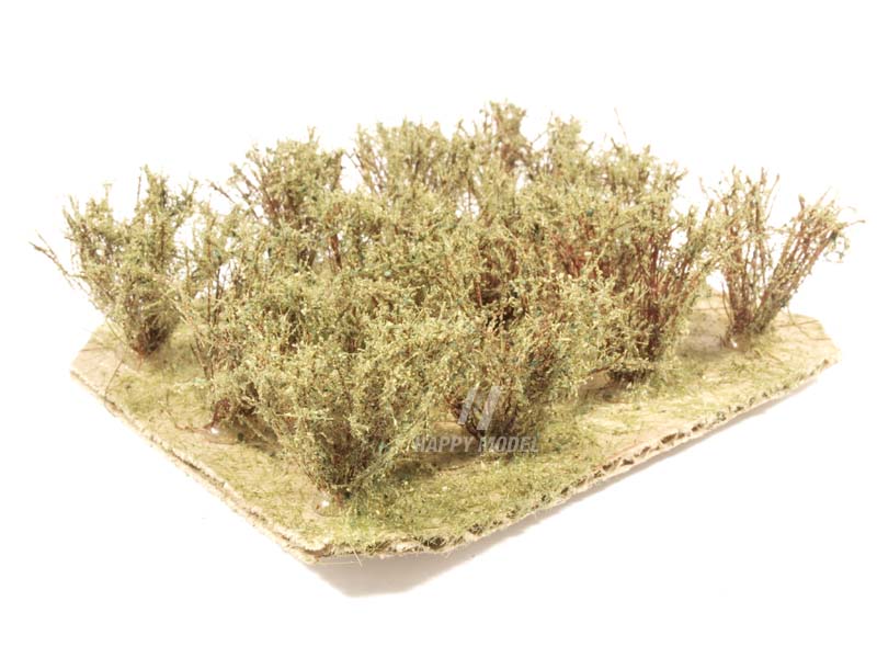 keře nízké oliva Bezucha Roman 1203