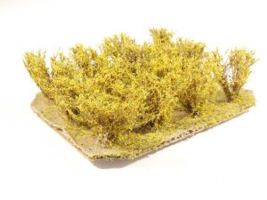 keře nízké žluté Bezucha Roman 1205