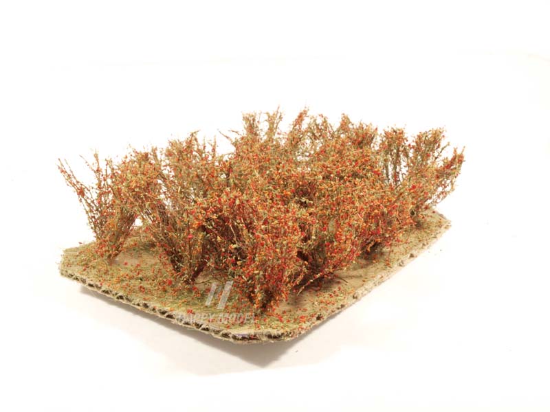 keře nízké červené Bezucha Roman 1206