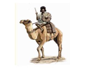 bojovníci + velbloudi Hät 378208