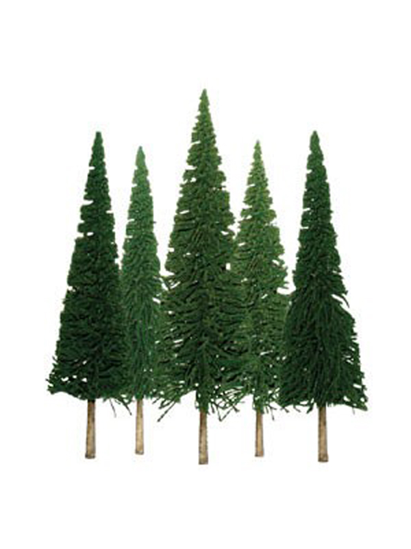 jehličnan úsporný, výška 10 - 15 cm, 24 ks JTTtree TR2003