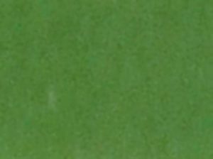 barva středně zelená matná 15ml Model Master 401713