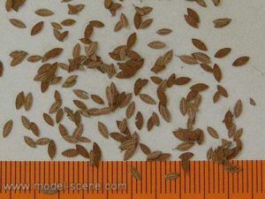 stromové listí univerzál - extra barvy, podzim 160 ks Model Scene l4-105