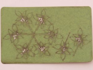 přízemní plevel Model Scene vg4-004