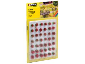 trsy trávy kvetoucí červené Noch 07035