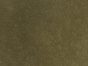 divoká tráva středně zelená Noch 07122