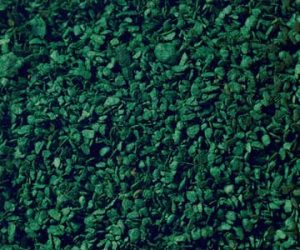 olistění tmavě zelené 50g Noch 07146