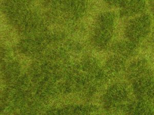 minikoberec Natur+ "šťavnatá louka" Noch 07470