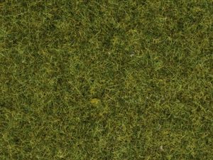 statická tráva louka 2,5mm 20g Noch 08312