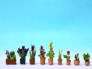 okrasné květiny v truhlíku Noch 14012