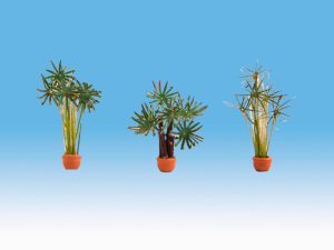 palmy v květináčích Noch 14024