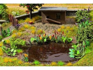 vodní a břehové rostliny Noch 14052