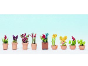 okrasné rostliny v květináčích Noch 14080