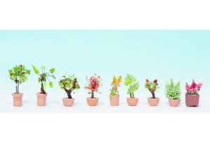 okrasné rostliny v květináčích Noch 14082