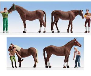 péče o koně Noch 15632