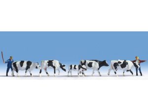 na pastvě Noch 15724