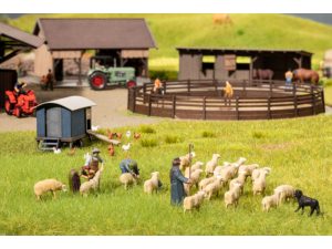 stříhání ovcí Noch 15751