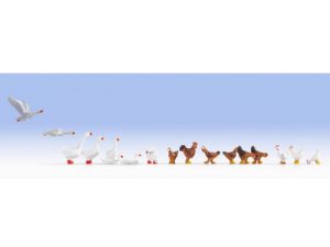 slepice a husy Noch 15772