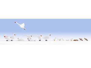 labutě a kachny Noch 15774