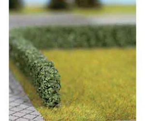 živý plot tmavě zelený Noch 21524