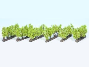 vinná réva 24ks Noch 21540