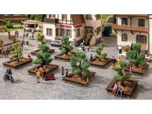 okrasné křoviny Noch 21546