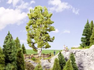 bříza dvojitá Noch 21641