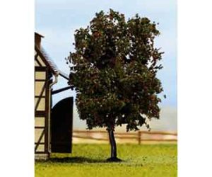 třešeň ptačka Noch 21650