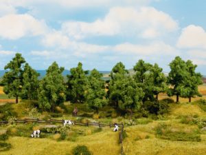 listnaté stromy Noch 24603