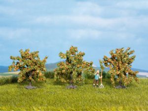 pomerančovník 3ks Noch 25114