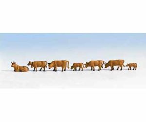 krávy tmavě hnědé Noch 36722