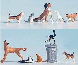 psi a kočky Noch 45715