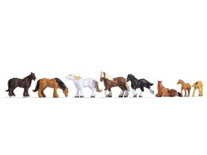 chladnokrevníci Noch 45762