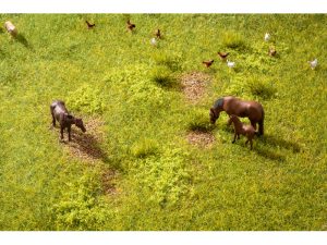 základní set vegetace Louka Noch 60771