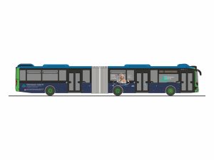 MAN Lions City 18 18 Stadtwerke Baden-Baden - KVV Rietze 75836