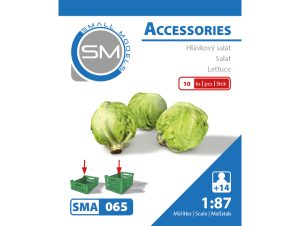 hlávkový salát (10ks) sma 065