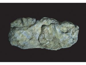 forma na skalní stěny Woodland Scenics C1242