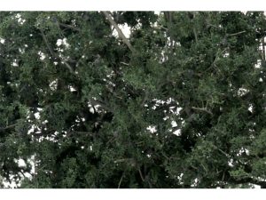 foliáž jemná tmavě zelená Woodland Scenics F1130