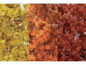 jemná listová foliáž podzimní mix Woodland Scenics F1135