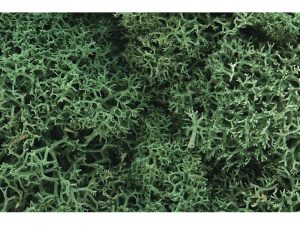 islandský mech světle zelený Woodland Scenics L162