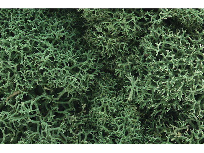 islandský mech světle zelený Woodland Scenics L162