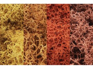 islandský mech podzimní Woodland Scenics L165