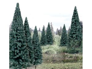 modré smrky střední 13 ks Woodland Scenics TR1588