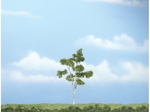 bříza 1 ks Woodland Scenics TR1616